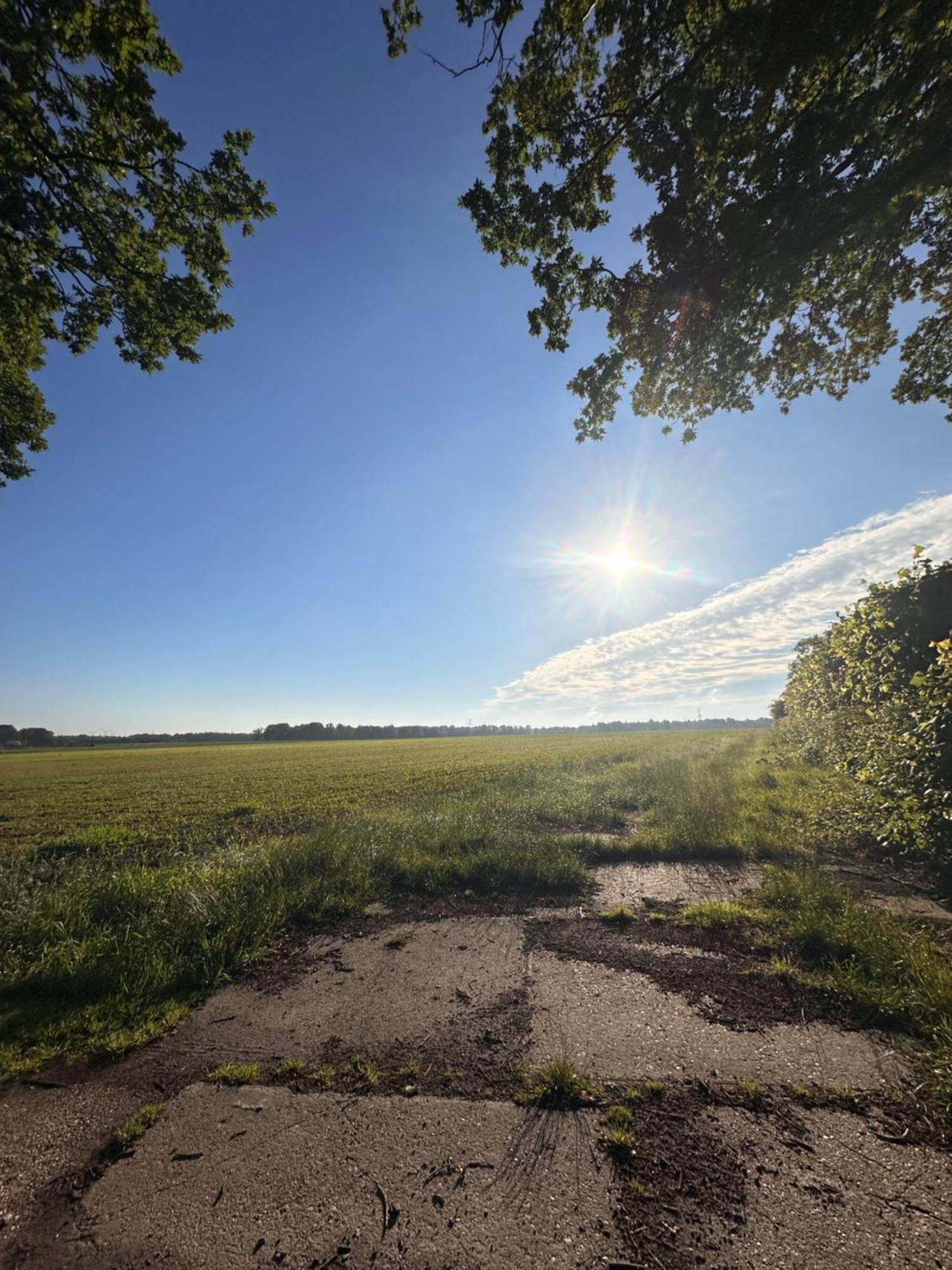 B&B Het Kleine Huisje Emmen Exteriör bild